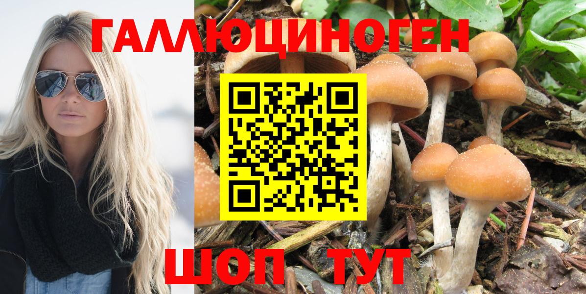 Галлюциногенные грибы прущие грибы Торжок